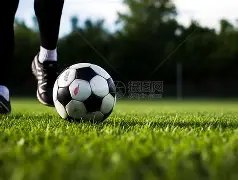 人民日报,点赞,民企与企业,开云直播足球,足球赛事直播,足球比赛直播平台,足球赛事资讯,足球赛程