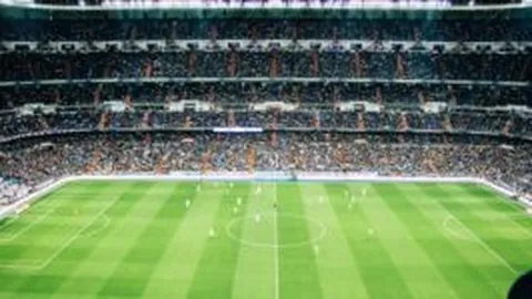 德国药企高层致信球迷共勉，展望德甲冠军征程